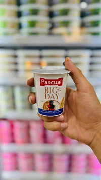 زبادي بنكهة الفواكه والغلال - باسكوال (Pascual)