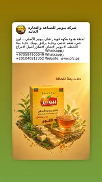 شاي أسود أصلي - بيونير