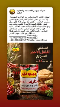 فلفل أحمر مطحون - بيونير