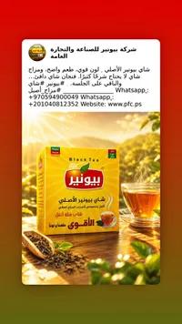 شاي بيونير الأصلي