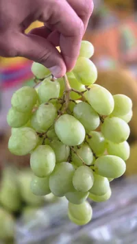 العنب الأخضر الطازج