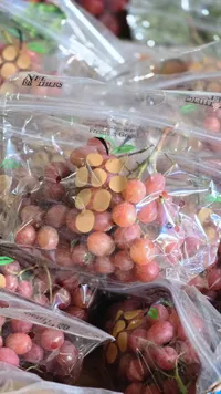 عنب أحمر بريميوم - Premium Grapes