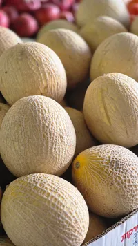 شمام طازج