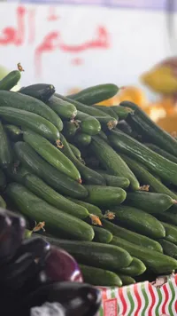 خيار طازج