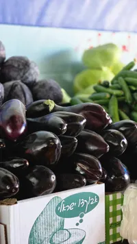 باذنجان طازج
