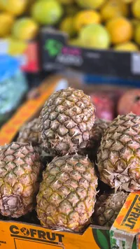 أناناس طازج