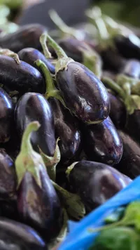 باذنجان طازج