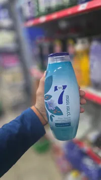 شامبو فلاكس سيدز - إنجوا