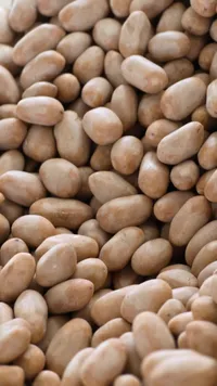 فول سوداني محمص
