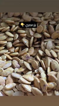 فول سوداني محمص - بزر مصري
