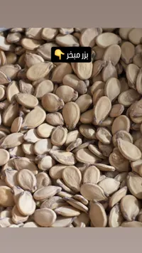 فول سوداني - يز ميفر