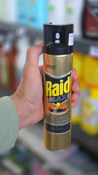 بخاخ قاتل للصراصير والحشرات - ريد ماكس (Raid)