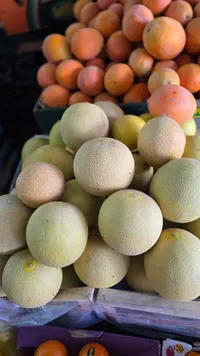 شمام طازج