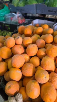 برتقال طازج