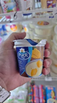 زبادي بالمانجو - بوك (Puck)