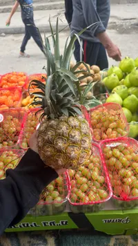 أناناس طازج