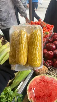 ذرة صفراء طازجة مغلفة