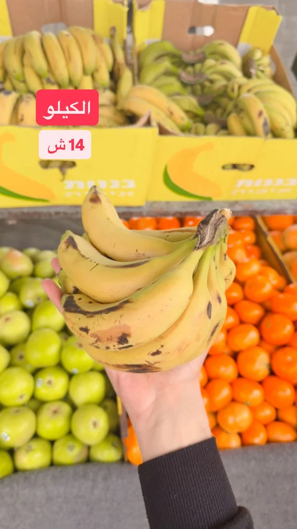 موز طازج - مواد غذائية وبقالة - سوق غزة