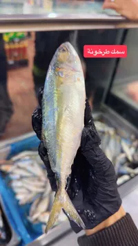 سمك طرخونة طازج