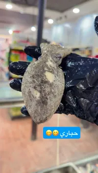 حباري