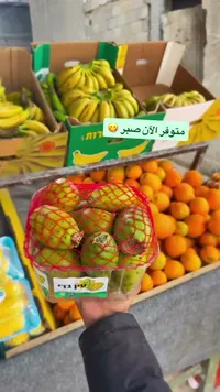 صبر طازج - عين جدي (Ein Gedi)
