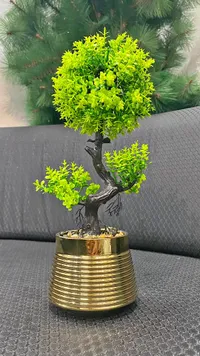 شجرة بونساي اصطناعية