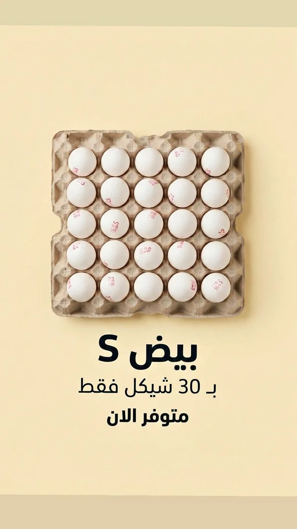 بيض حجم S - مواد غذائية وبقالة - سوق غزة