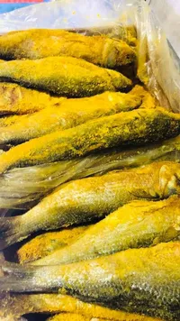 سمك مملح طازج