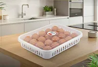منظم بيض بلاستيكي مع غطاء - هوم وير (Home Ware)