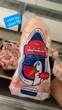 بط العابد