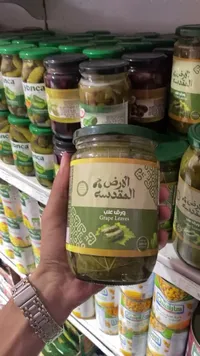 ورق عنب - الأرض المقدسة