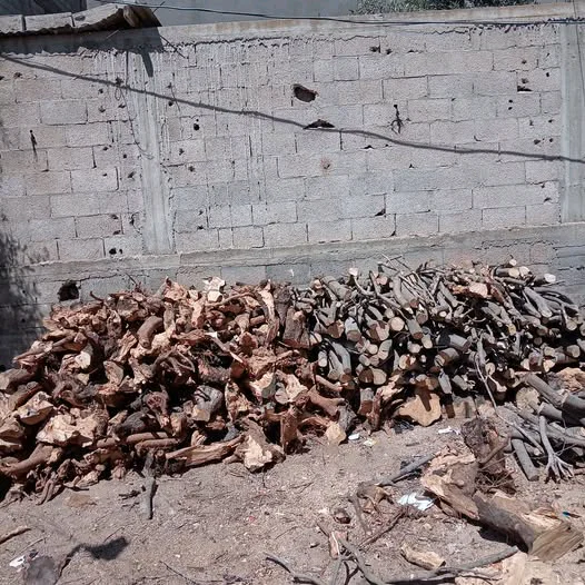 حطب زيتون - حطب وفحم - سوق غزة