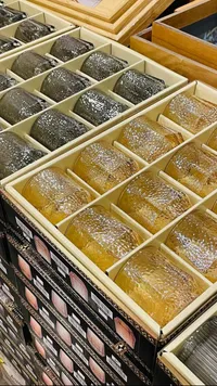 طقم أكواب زجاجية مطرقة - أريزونا (Arizona)