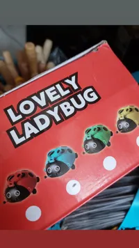 موزع أعواد أسنان بتصميم الدعسوقة - لافلي ليدي باغ (Lovely Ladybug)