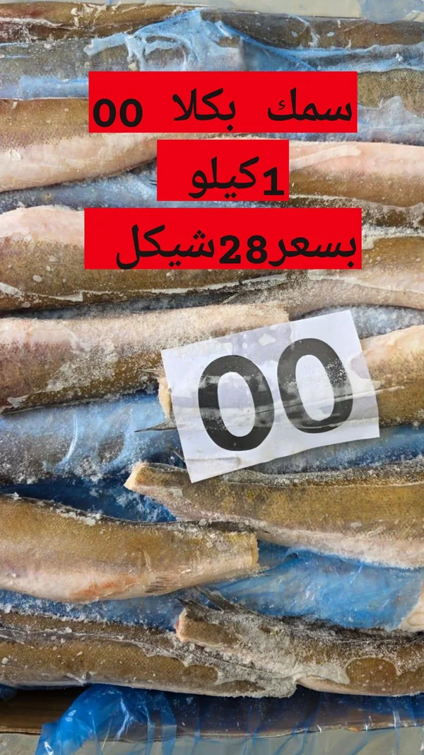 سمك بكلا مجمد - مواد غذائية وبقالة - سوق غزة