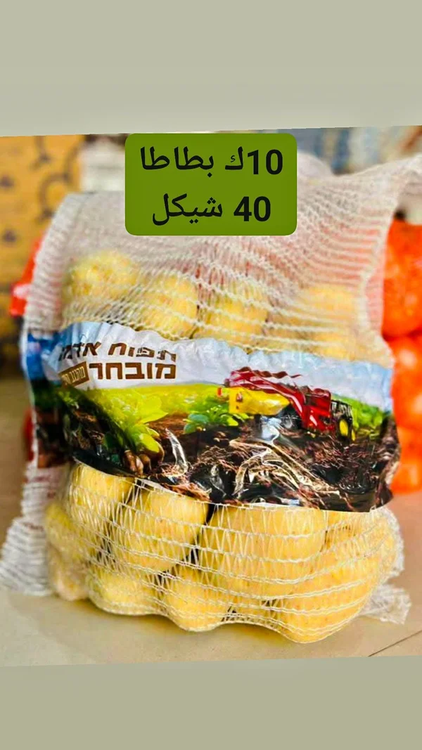 بطاطس طازجة مختارة (10 كجم) - مواد غذائية وبقالة - سوق غزة