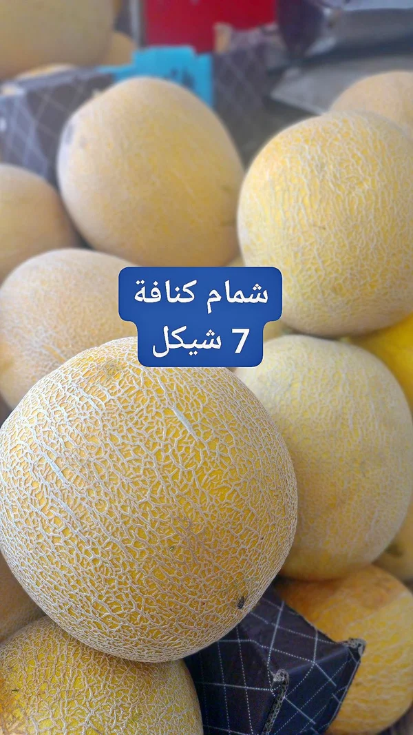 شمام كنافة - مواد غذائية وبقالة - سوق غزة