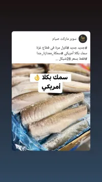 سمك بكلا أمريكي