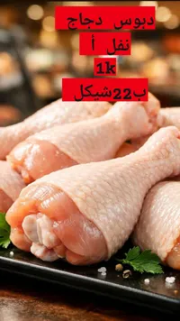 دبوس دجاج طازج - نفل أ - سوق غزة