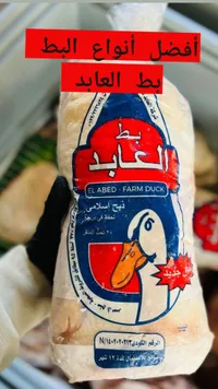 بط مزارع - العابد (El Abed)