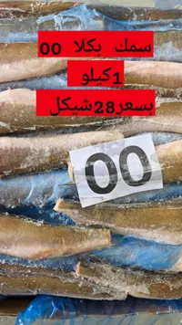 سمك بكلا مجمد - سوق غزة