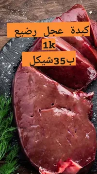 كبدة عجل رضيع - سوق غزة