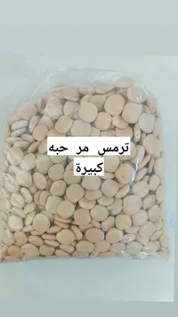 ترمس مر حبة كبيرة