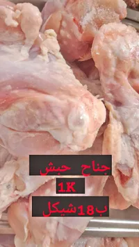جناح حبش طازج - سوق غزة