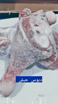 دبوس حبش مجمد