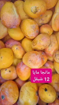مانجا مايا - سوق غزة