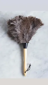 عساف ريش النعام