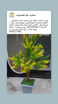 نبات صناعي ديكوري - سمارت باي النصيرات