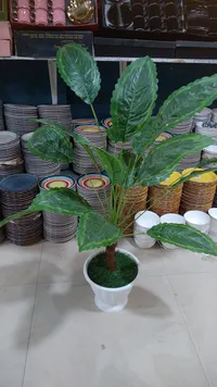 نبتة ديفنباخيا صناعية مع إناء