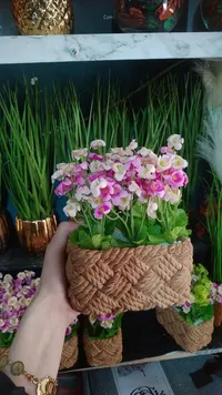 أصيص نباتات بحبل الجوت - وعاء زراعة منسوج